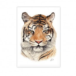 Obrazek Tygrys do pokoju dziecka z motywem safari